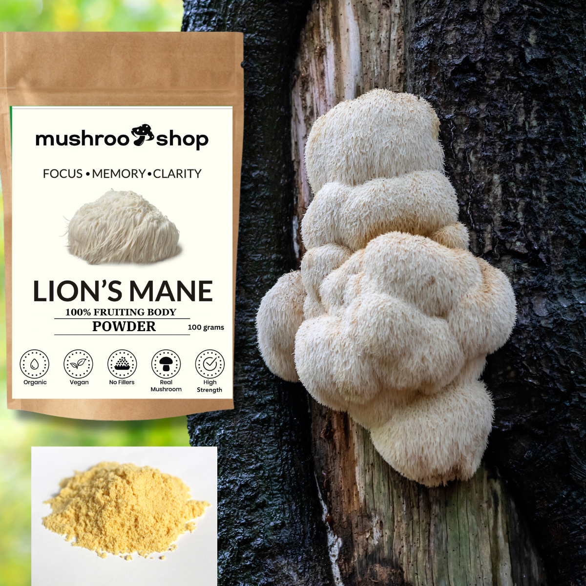 Lion's Mane Powder | Pure Certified 100% Fruiting Body
