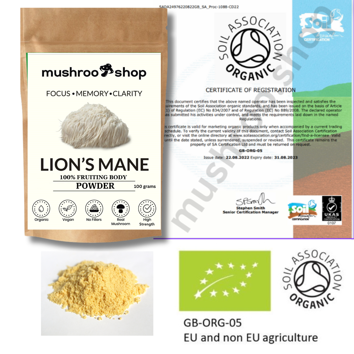 Lion's Mane Powder | Pure Certified 100% Fruiting Body