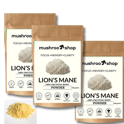 Lion's Mane Powder | Pure Certified 100% Fruiting Body