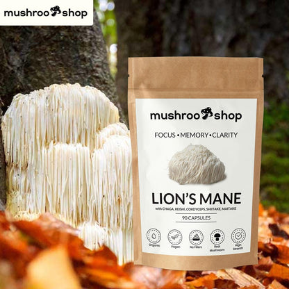 buy organic lions mane mushroom capsules uk